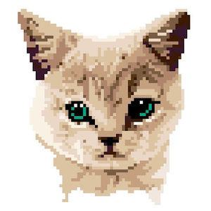 Meet your Posher, Avery